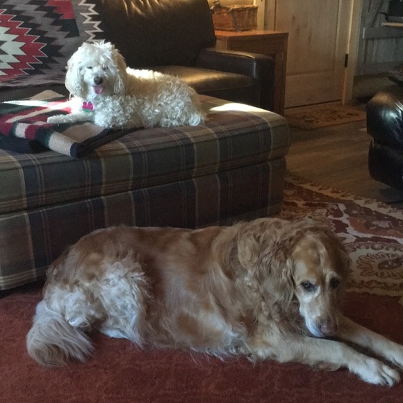 Meet your Posher, Kriste - Picture 1 of 1